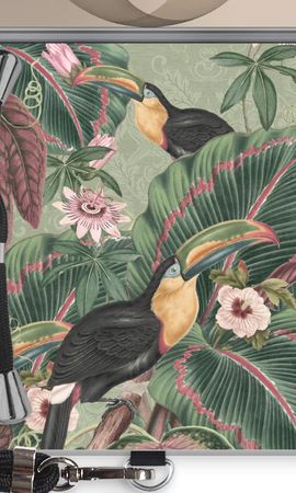 Tropical jungle toucan