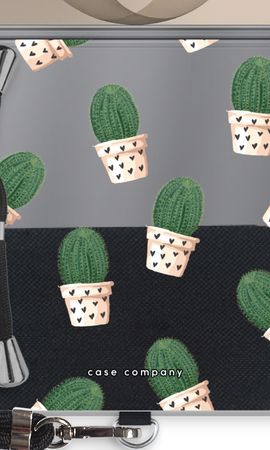 Cactus rose