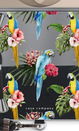Colourful parrots