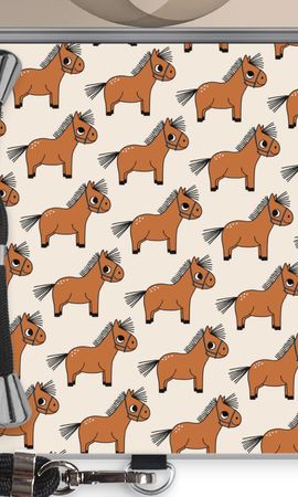 Pony