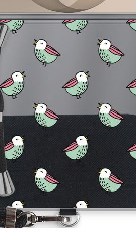 Little birds