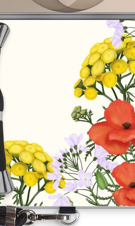 Wilde bloemen