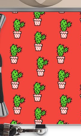 Mini cactus