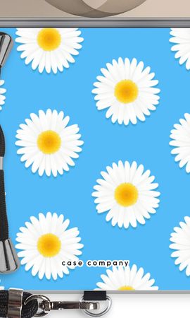 Daisies