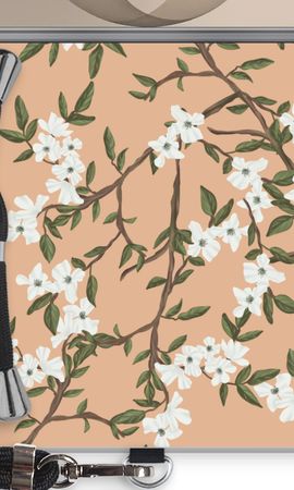 Blossoming spring