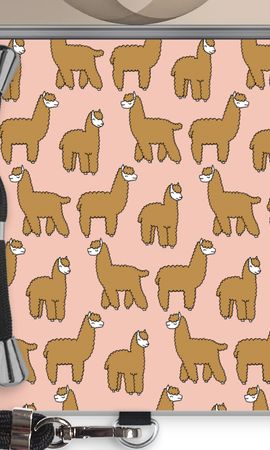 Alpacas
