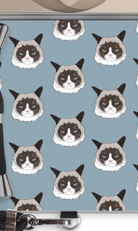It's a Purrr Case