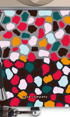 Colored Giraffe