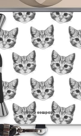 Kitten