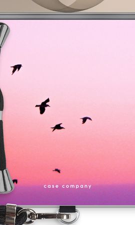 Fly away