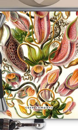 Haeckel Nepenthaceae