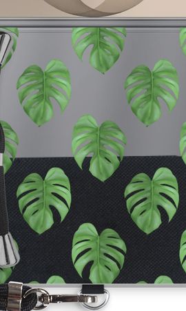Monstera leaves