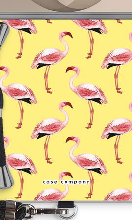 Flamingos yellow