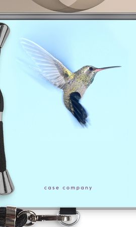 Hummingbird