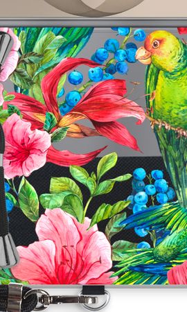 Parrots