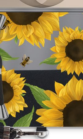 Sunflower and bees