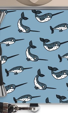 Narwhal