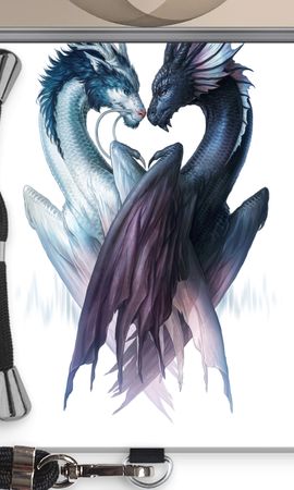 Yin Yang Dragons