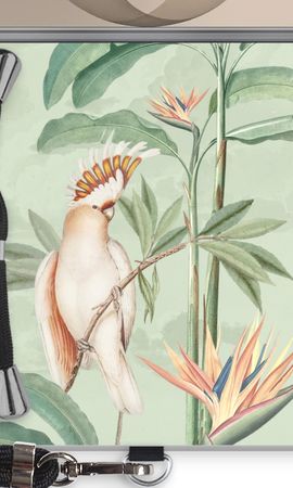 Tropical Parrot
