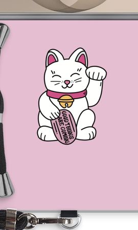 Lucky Cat