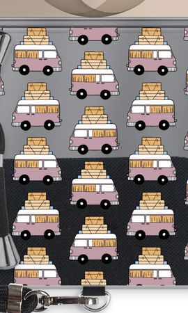 Van