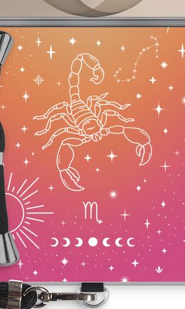 Zodiac sign N°5