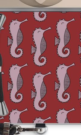 Seahorses