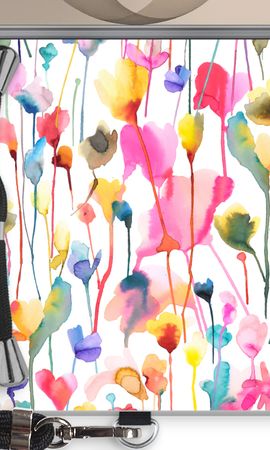 Wild Colorful Flowers