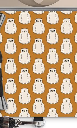 Owls