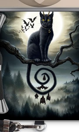 Moonlight Companions