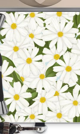 Summer Daisies