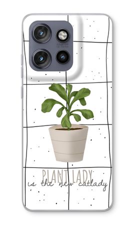 Houseplant on windowpane