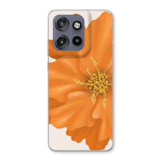 Orange Ellila flower