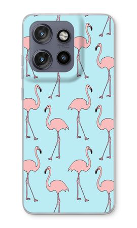 Anything Flamingoes