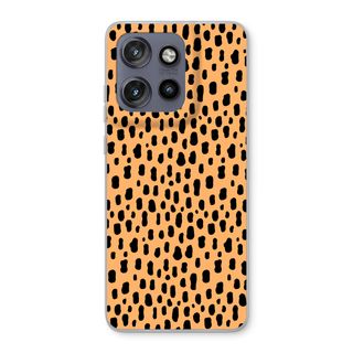 Panter