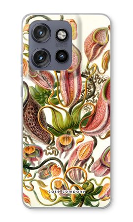 Haeckel Nepenthaceae