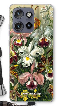 Haeckel Orchidae