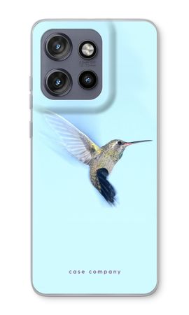 Kolibri