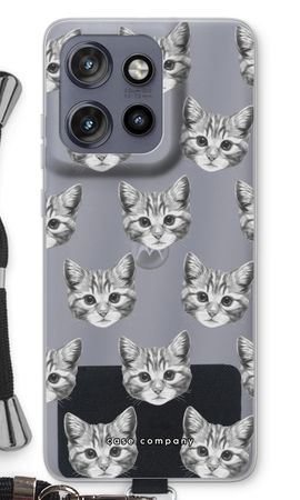 Kitten