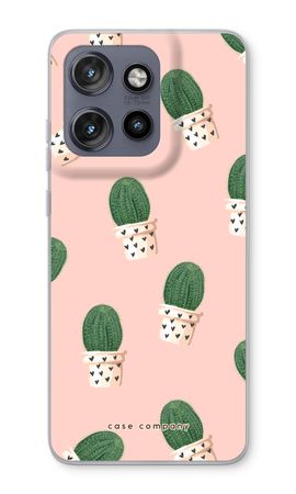 Cactus rose