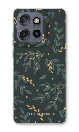 Midnight Olive