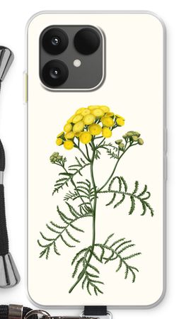 Tansy