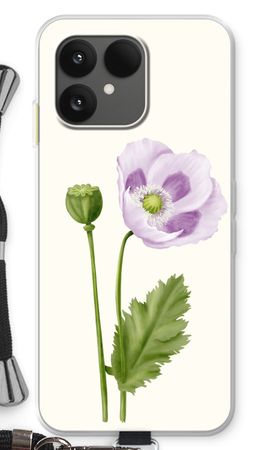 Purple poppy