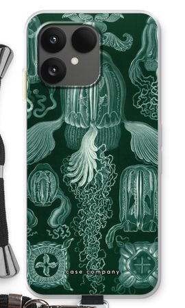 Haeckel Cubomedusae
