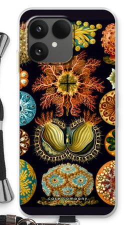Haeckel Ascidiae