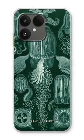 Haeckel Cubomedusae