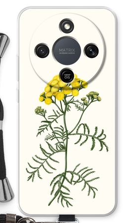 Tansy