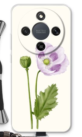 Purple poppy