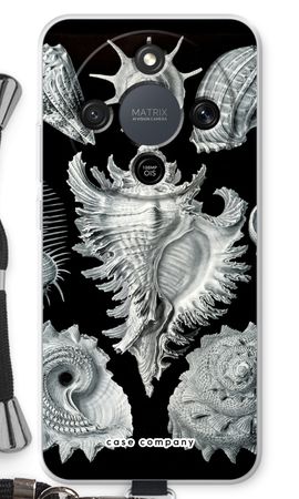 Haeckel Prosobranchia