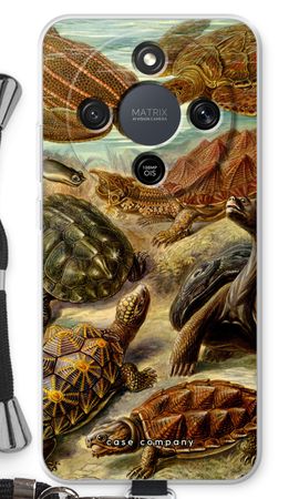 Haeckel Chelonia